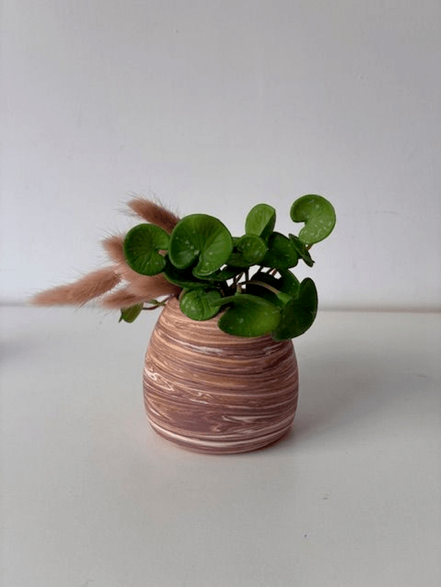 Mini soliflore 