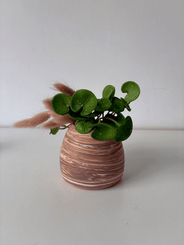 Mini soliflore 